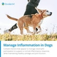 thumbnail image 4 of PRN Pharmacal Duralactin Canine Soft Chews - Joint Health Supplement for Dogs & Puppies to Help Reduce Chronic Soreness - Canine Chews Containing Dried Milk Protein - Chicken-Liver Flavor - 60 Chews, 4 of 7