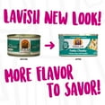 thumbnail image 4 of Weruva Classic Cat Food, Funky Chunky Chicken Soup With Chicken Breast & Pumpkin, 3Oz Can (Pack Of 24), 4 of 5