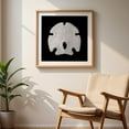 thumbnail image 6 of Keyhole Sand Dollar - Photography Marine Life Beach Nautical Coastal Aquatic Seaside Ocean Unframed Wall Art Print 30 x 30 inches, 6 of 9