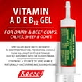 thumbnail image 4 of Kaeco Vitamin Ade B12 Oral Gel - 80 Ml, 4 of 4