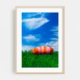 thumbnail image 2 of Colorful slug on grass - Photography Surrealism Nature Whimsical Insect Modern Art Pop Art Unframed Wall Art Print 24 x 36 inches, 2 of 60