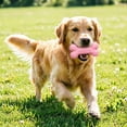 thumbnail image 2 of Stress-Free Brushing Dog Mouth Prop Chew Toy, Dual-Action Teeth Cleaning Performance, Daily Household Dog Oral Supply, 2 of 9