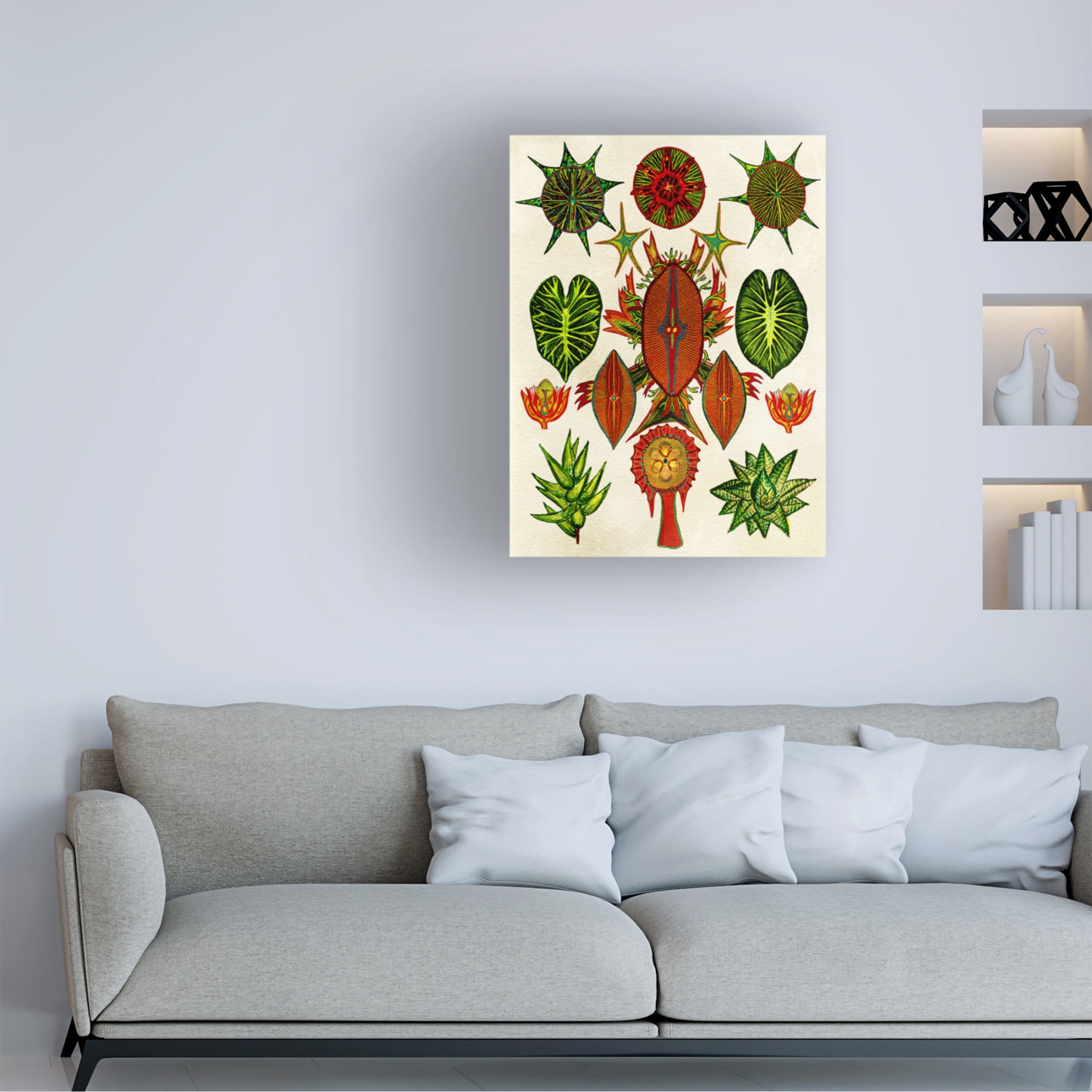 Trademark Fine Art giovanna nicolo Botanical Invention Canvas Wall Art