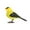 Yellow, variant on Interactive Electronic Singing Bird Toy Realistic Flapping Motion Sound Activated Pet Cat Dog Stimulation Home Office Decoration Gift