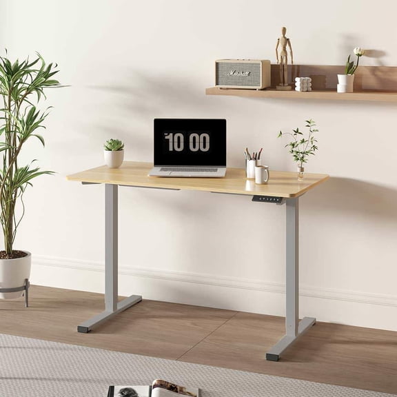 GVN Computer Desk, Home Office Desk,Electric Standing Desk Adjustable Height Desk, 48 x 24 inches (grey frame maple top)