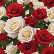 KaBloom : Bouquet of Fresh 6 Red and white Roses, Next-Day Delivery, Gift for Every Occasion.