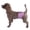 Multicolor - Medium, variant on BIMZUC Washable Dog Diapers Male Reusable Soft Belly Bands for Dogs Puppy Nappies Wrap for Post Surgery Wound Care Daily Training, Highly Absorbent, Large Size, 4-Pack