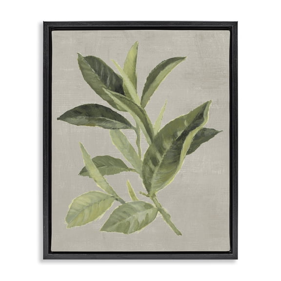 Stupell Industries Green Tea Plant Leaf Floral Painting Black Floater Framed Canvas Art Print Wall Art, 17 x 21