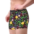 thumbnail image 2 of Vsdgher Herbs And Spices Pattern Men's Boxer Brief Underwear,Soft Funny Underwear for Men-Medium, 2 of 5