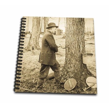 Maple Easels - 3dRose Keystone Magic Lantern Slide Antique Tapping Maple Syrup Vermont - Memory Book, 12 by 12-inch