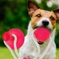 thumbnail image 3 of Suction Cup Dog Toy, Pet Molar Bite Multifunction Interactive Durable Ropes Toy with Powerful Suction Cup, Aggressive Chew Pet Toys for Helps Clean Teeth, Tug and Chew, 3 of 9