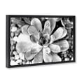 thumbnail image 3 of Stupell Industries Transitional Monochrome Succulent Leaves Black Floating Frame Canvas Art, 25 x 17, by Susan Bryant, 3 of 8