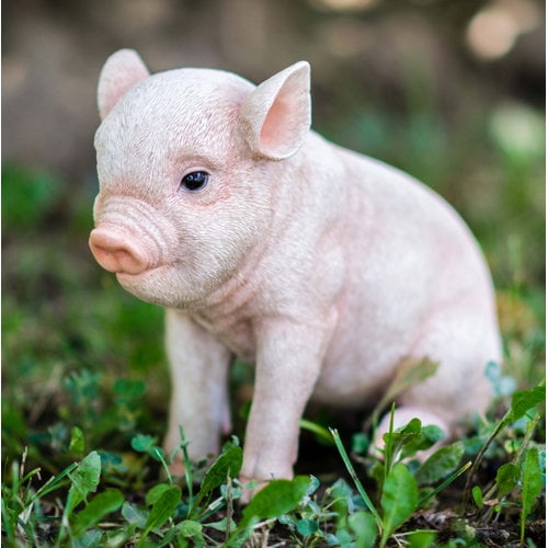 Hi-Line Gift Ltd Sitting Baby Pig with Black Spots, 6
