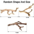 thumbnail image 3 of 2PCS Reptile Wood Branches Decor Lizard Habitat Decoration Snake Climbing Branch Accessories Terrarium Tree Trunk Ornament for Bearded Dragon Gecko Frog Chameleon Spider, 3 of 6