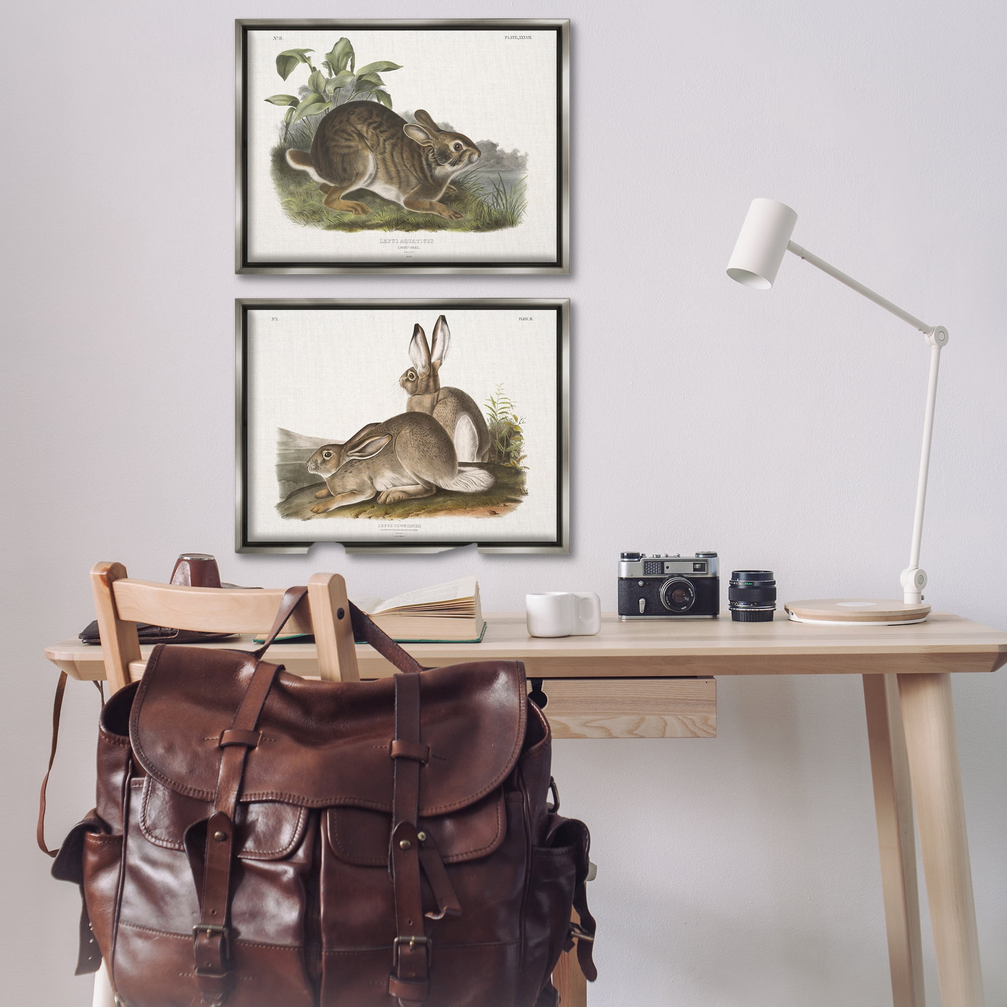 Stupell Industries Gentle Resting Cottage Rabbit Animals Painting Gray Floater Framed Canvas Art Print Wall Art, 31 x 21, Set of 2