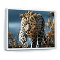 thumbnail image 2 of Designart "The Graceful Beauty of a Sleek Leopard" Animals Floater Framed Wall Decor, 2 of 7