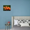 thumbnail image 2 of Satsuma Tangerines II, Botanical Unframed Photographic Print Wall Art by Rachel Perry Sold by Art.Com, 2 of 4