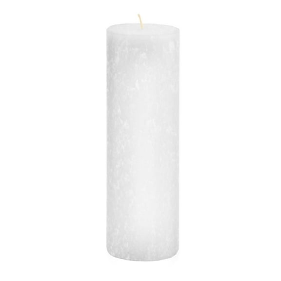 ROOT Unscented 3 In Timberline Pillar Candle 1 ea. White - 3 X 9