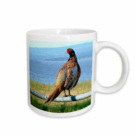

3dRose Pheasant Ceramic Mug 15-ounce