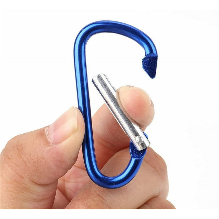 keychain carabiner clip small d-ring lightweight