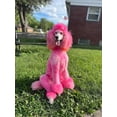 thumbnail image 4 of Crazy Liberty MAGIC COLOR SHAMPOO Semi-Permanent Hair Coloring Pink Ammonia and Paraben Free Shampoo for Dogs 8.45 oz Bottle, 4 of 5