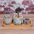 thumbnail image 5 of Unique Bargains 30.5x14cm Plastic Rectangular Plant Pot Saucer Drip Tray, Terracotta 6 Count, 5 of 5