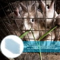 thumbnail image 4 of LOLIPPYY 8Pcs Bunny Cage Foot Mats with Support Bottom and Scissor Cut Design for Practical Pet Cage Use, 4 of 5