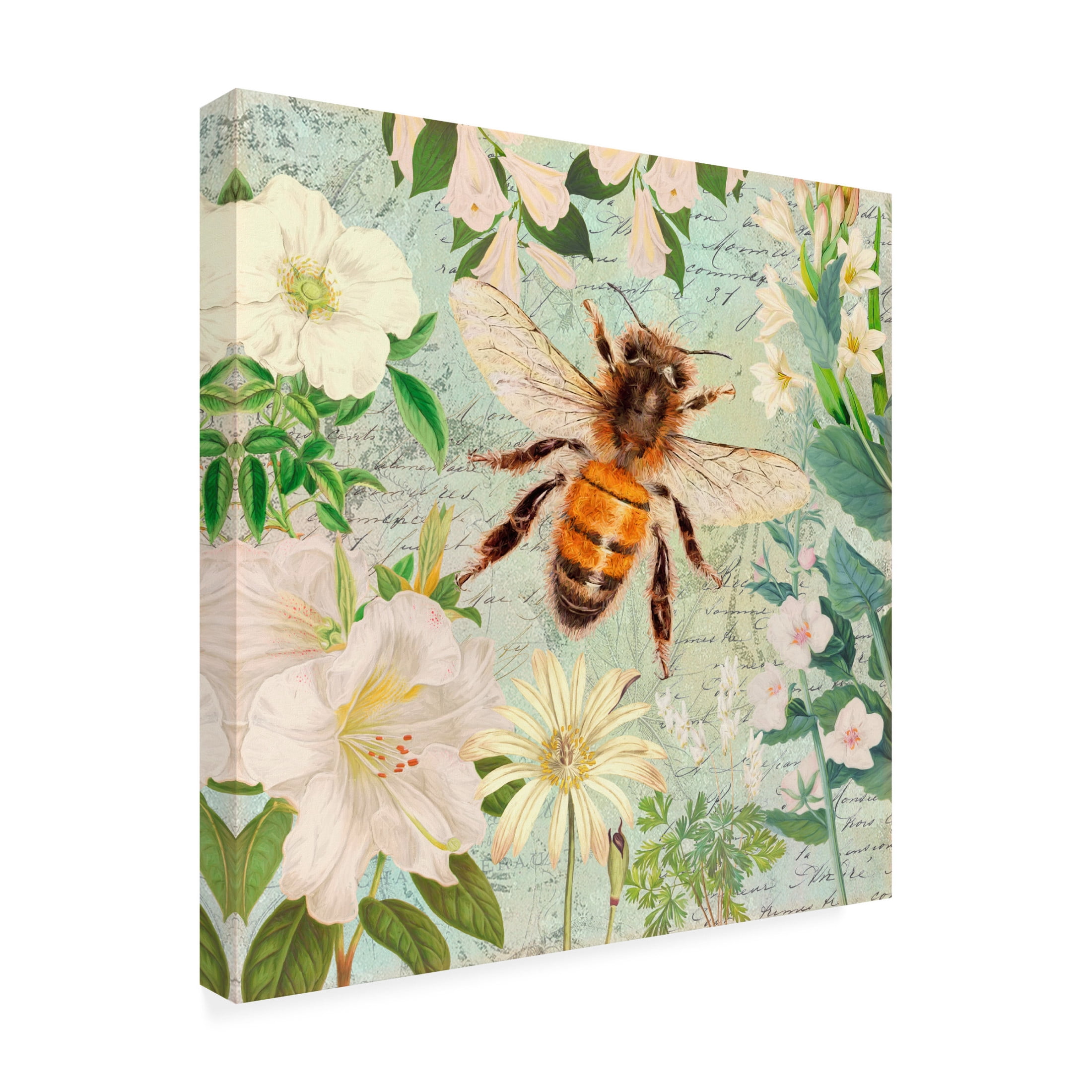 Canvas Wall Art - Cora Niele 'Bee White Flowers' Wall Art for Living Room, Bedroom, or Office Décor by Trademark Fine Art - 14 x 14 Inches
