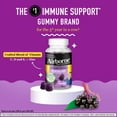 thumbnail image 2 of Airborne Vitamin C & Zinc Immune Support Gummies, Multivitamin Supplement, Elderberry Flavor, 36 ct, 2 of 9