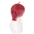 thumbnail image 2 of Peluca para cosplay Diaboliks Lovers Sakamakis Ayatos, 35 cm, sintética, 2 of 3