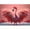 SKU-07, variant on Modern Beautiful Pink Flamingo Animal Fashion Posters Prints Canvas Paintings Wall Art HD Pictures For Living Room Home Decor50 x 70 cm, frameless,SKU-08