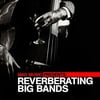 Mad Music: Reverberating Big Bands / Various