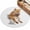 Orange, variant on Funny Yaks Entryway Rug 2x3ft Washable Non Slip Bathroom Rug Low Pile Soft Indoor Floor Front Door Mat Cute Art Fun Lovely Animals on Toilets Rectangle Area Rugs Carpet for Kitchen Office Dining Room