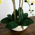 thumbnail image 5 of Nearly Natural Phalaenopsis Orchid Artificial Floral Arrangement with Ceramic Planter - 23" - White, 5 of 7