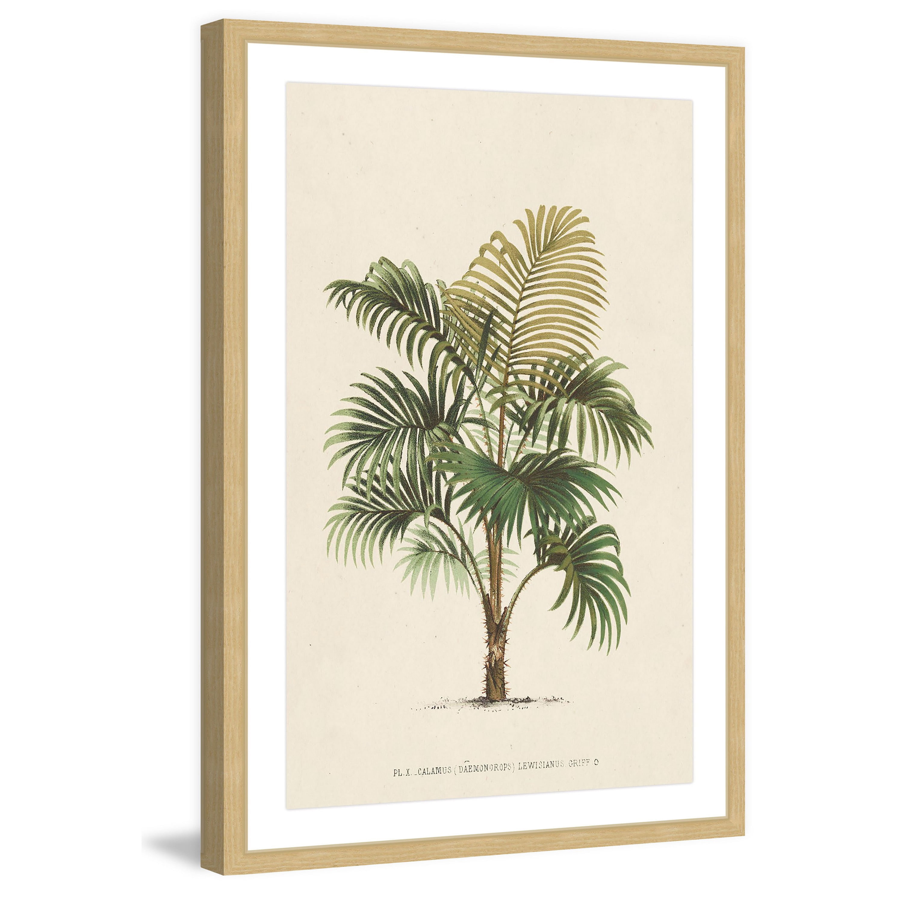 Marmont Hill "Les Palmiers IV" Framed Painting Print
