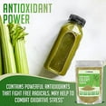 XPRS Nutra Organic Celery Powder Celery Organic Fresh Powder