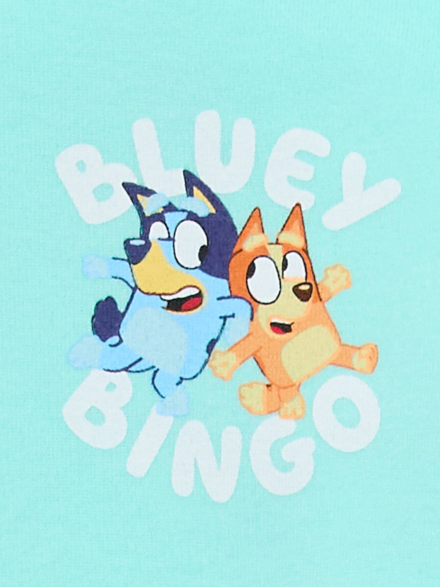 Bluey and Bingo Toddler Boys Hoodie and Joggers Set, Sizes 12M-5T