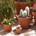 thumbnail image 2 of Bloem Terra Pot Planter - 12" - Terra Cotta, 2 of 3