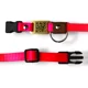thumbnail image 4 of Collar Ligero Gato O Perro Pequeño Placa Qr Integrada, Ruac, 4 of 7
