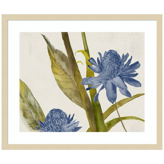 Amanti Art Blue Ginger Wood Framed Wall Art Print