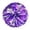 g, variante sur Événement & Fête Cheerleading à Main Fleurs Colorées pour Activités Sportives Performance Léger Boucle Double Ronde Design Fournitures de Célébration 2 Pcs