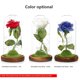 thumbnail image 2 of Cateissary Lámpara de rosa de simulación, rosa inmortal, La Bella y La Bestia, linterna de rosa, flor eterna, cubierta de cristal, decoración, Kits de decoración para fiestas No.2 Cateissary HA026722-02, 2 of 6