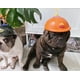 thumbnail image 3 of Divertido juguete para perros, casco, casco, sombrero para perros con libélula de bambú, negro (S) ER, 3 of 5