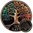 thumbnail image 1 of Set de regalo de monedas Sobriety con chip AA MilestoneMint Tree of Life, 1 of 8