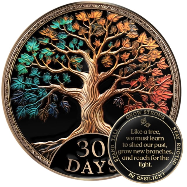 Set de regalo de monedas Sobriety con chip AA MilestoneMint Tree of Life