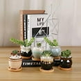 thumbnail image 6 of Mini Ceramic Succulent Pots with Drainage - Set of 6, Tiny Pots for Plants, Home and Office Decor, Plant Lover Gifts for Women, 6 of 9