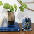 thumbnail image 5 of Yankee Candle Signature Large 2-Wick Candle, Bayside Cedar, 20 oz, 5 of 7