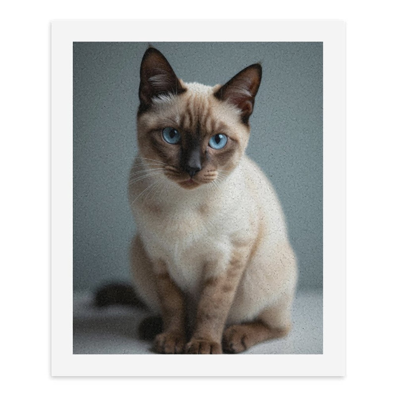 Paint by Numbers Kit for Adults, Blue Eyed Siamese Cat Sitting Paint by Numbers, Easy Paint by Numbers Kit for Adults Beginner, DIY Adult Paint by Number Kits on Canvas, Home Decor