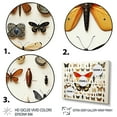 thumbnail image 3 of Designart "Insects and Bugs in Yellow and Orange" Animals Framed Wall Art Decor - Modern Orange Insects & Bugs Entryway Framed Wall Art Print, 3 of 6