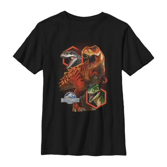 Boy's Jurassic World Hexagon Frame Dinos  Graphic Tee Black Small